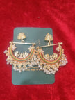 Peacokck Multi Earings