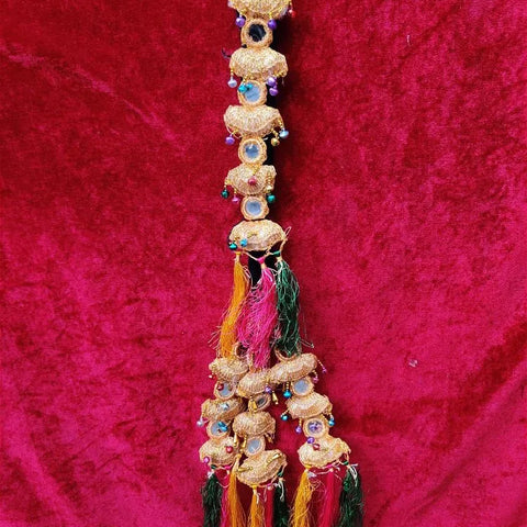 Punjabi Paranda