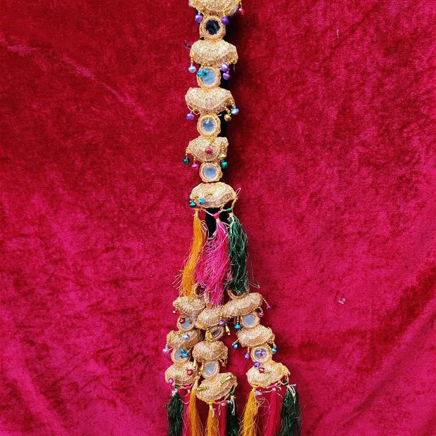Punjabi Paranda