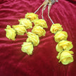 Yellow Kiran Floral Paranda