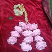 Pink Noor Floral Paranda