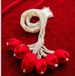 Red Tulip Pearl Paranda