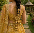 Golden Butterfly Tassel Paranda