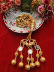 Tasal Sheesha Golden Paranda